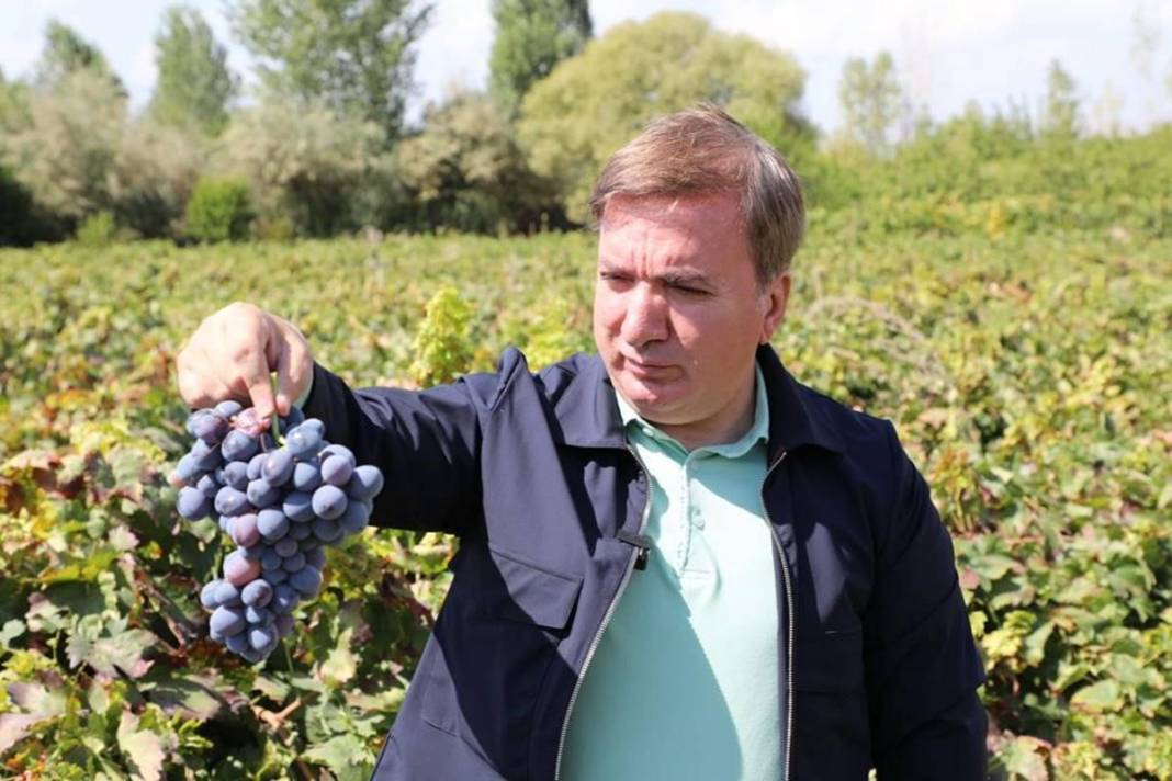 Saç ve cilt sağlığını koruyor, gözlere iyi geliyor! Türkiye'nin tescilli meyvesi kapış kapış satılıyor, kilosu 55 TL 14